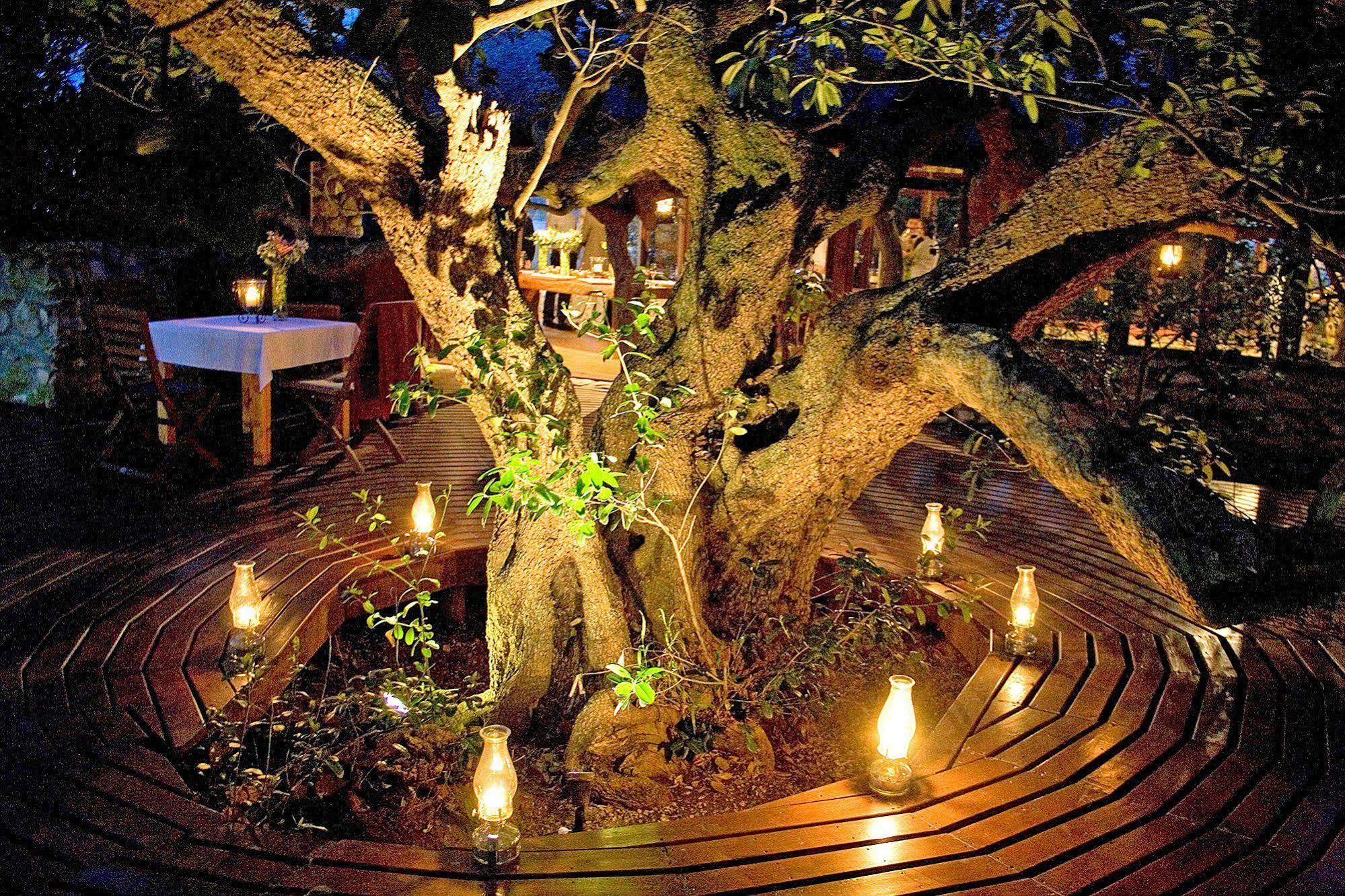 Mosaic Lagoon Lodge Станфорд Экстерьер фото